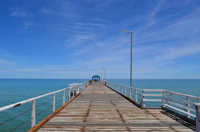 image from Adelaide Boat Tours