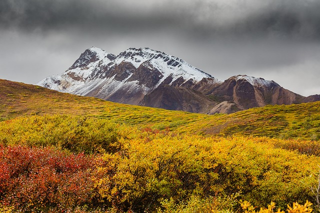 image from Aleutian Islands, Alaska