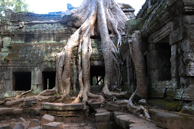 image from Angkor Wat