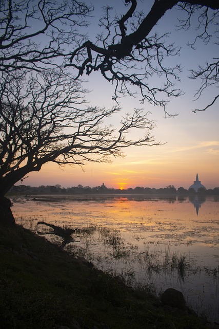 image from Animal Activities Anuradhapura