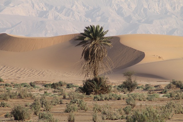 image from Walking Tours Aqaba