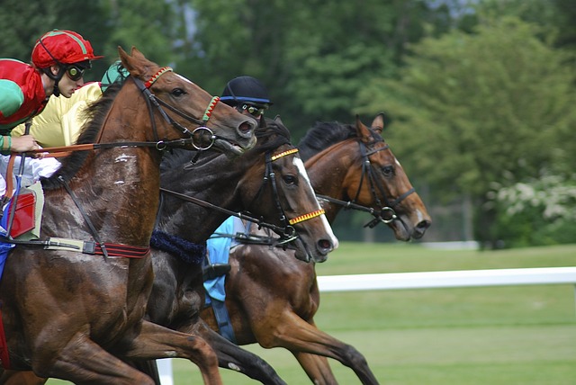 image from Ascot Racecourse