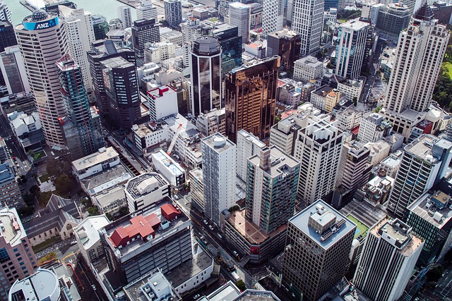 image from Bus Tours Auckland