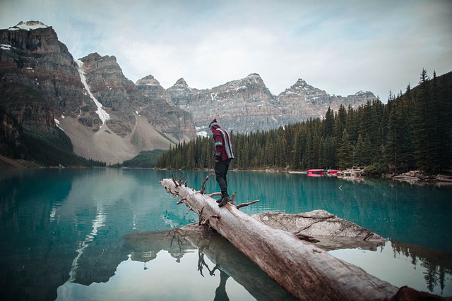 image from Sightseeing Banff