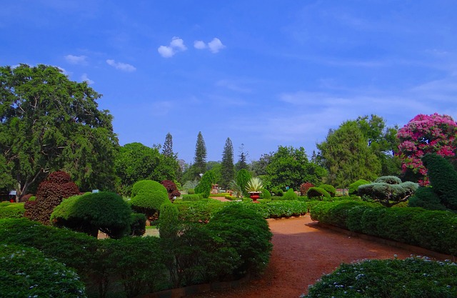 image from hidden-gems-in-Bangalore, India