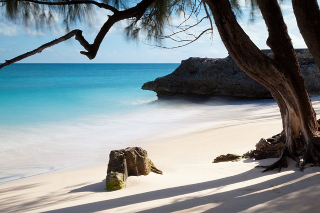 image from Day Trips Barbados