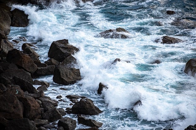 image from Bay of Fundy