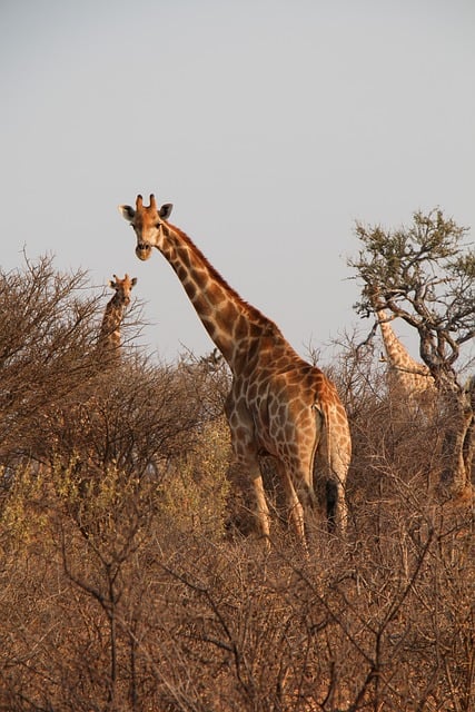 image from Blyde River Canyon, South Africa