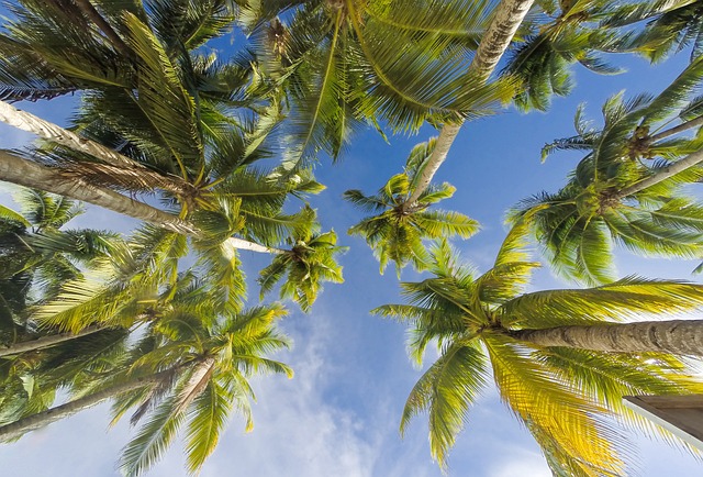 image from Outdoor Activities Boracay