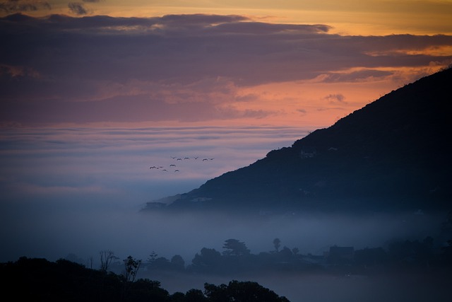 image from Cape Tribulation