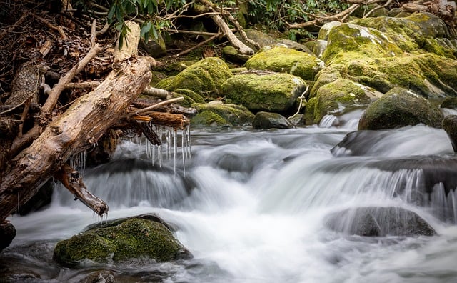 image from Bus Tours Cascade