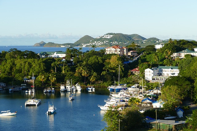 image from Sightseeing Castries