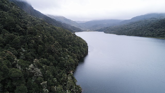 image from Animal activities Cayambe