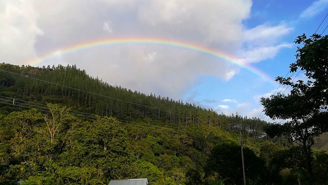 image from Adventure Tours Cocle