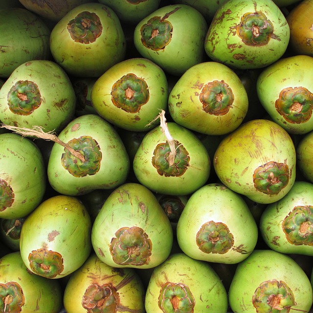 image from Cocos Keeling Islands 4 Day Itinerary