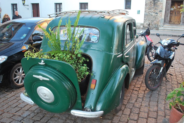 image from Day Trips Colonia del Sacramento