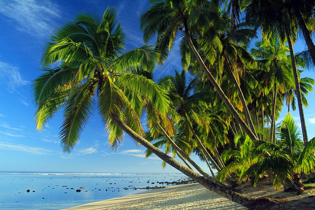 image from Cook Islands 5 Day Itinerary