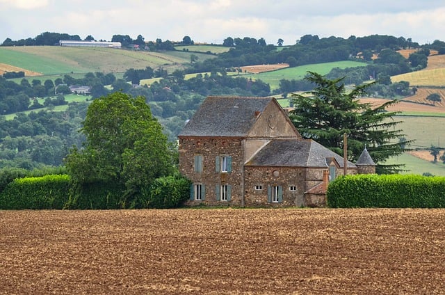 image from Decorated Farmhouses of H Lsingland