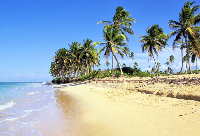 image from Sightseeing Dominican Republic