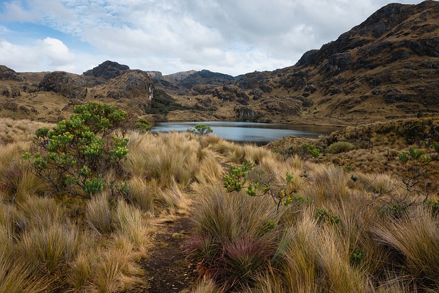 image from Solo Activities Ecuador