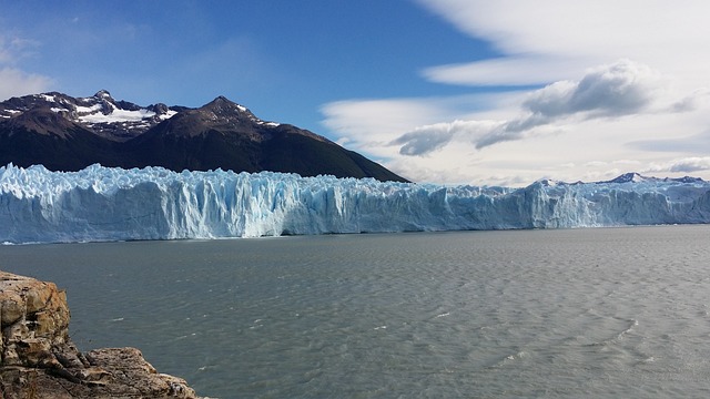 image from Animal activities El Calafate