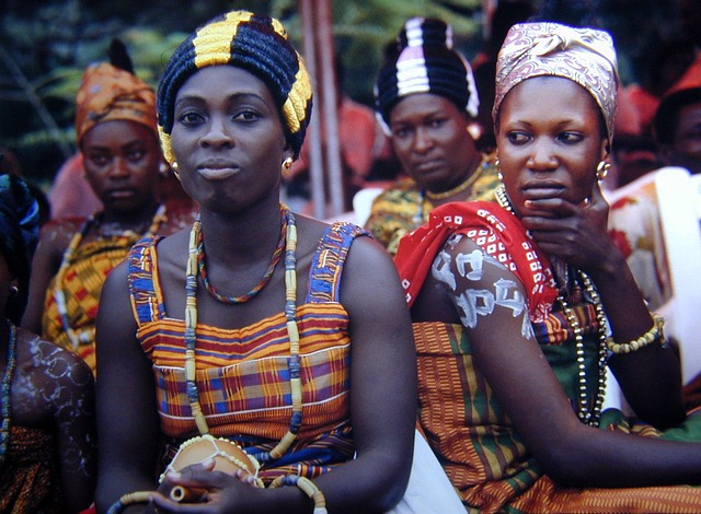 image from Bus Tours Elmina