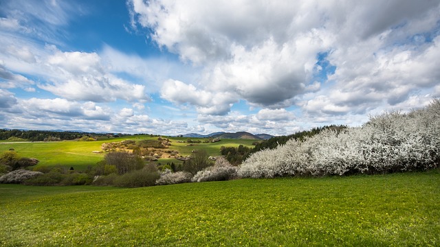 image from Fasil Ghebbi Gondar Region