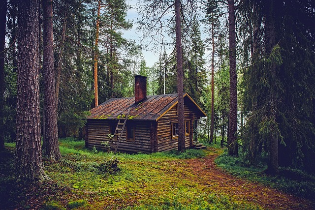 image from Finland 5 Day Itinerary