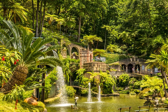 image from Funchal Madeira Day Trips