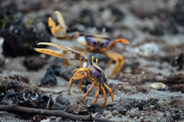 image from Gabon-3-day-itinerary