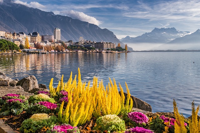 image from Geneva Boat Tours