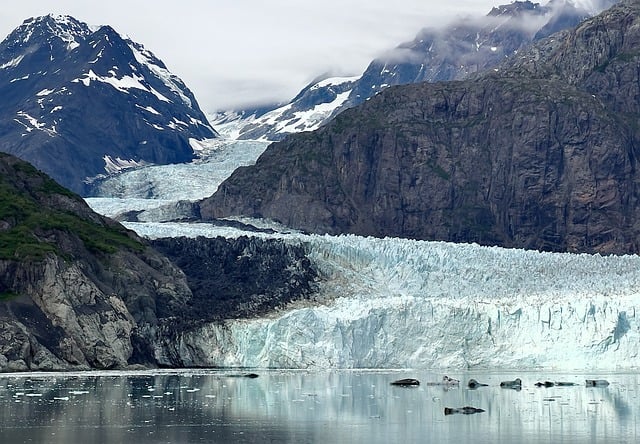 image from Glacier Bay National Park, Alaska