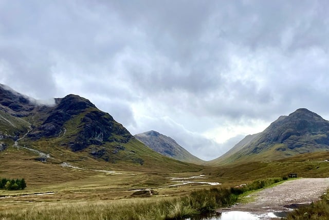 image from Glencoe