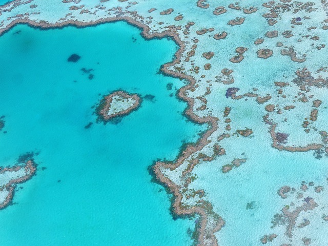 image from Great Barrier Reef, Australia