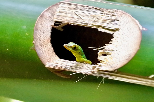 image from Adventure Sports Grenada