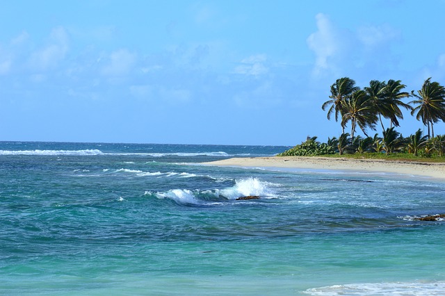 image from Couple Activities Guadeloupe