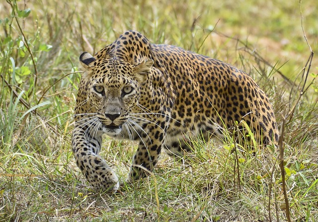 image from Sightseeing Guna Yala