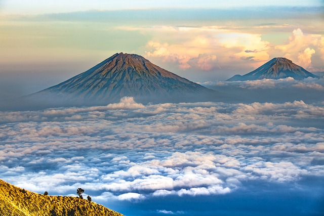 image from Gunung Leuser National Park, Sumatra, Indonesia