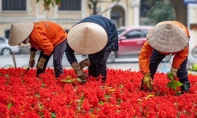 image from Hanoi, Vietnam-nature-spots