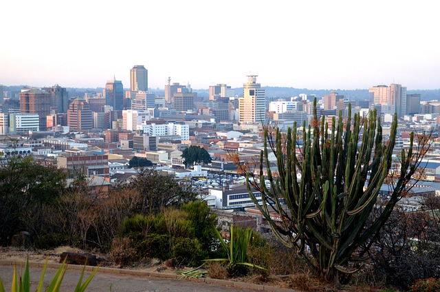 image from Walking Tours Harare