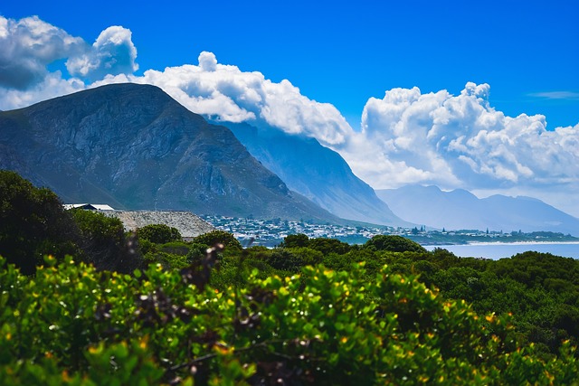 image from Sightseeing Hermanus