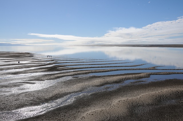 image from Walking Tours Hervey Bay