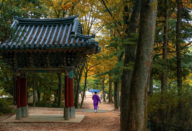 image from Historic Villages of Korea Hahoe and Yangdong