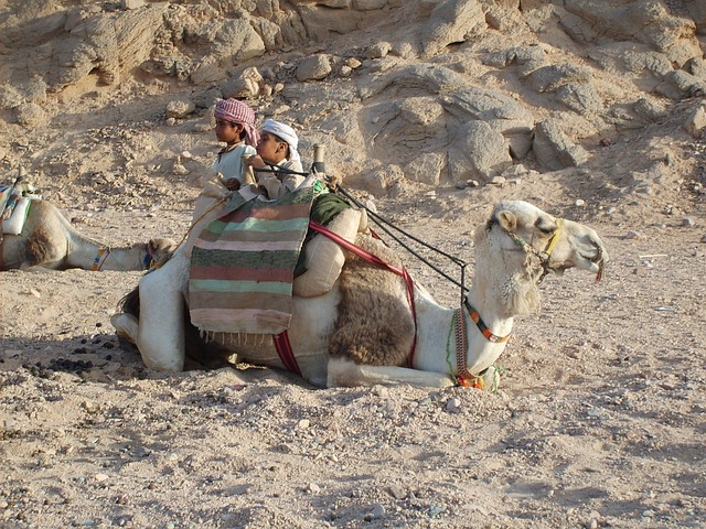 image from Multi Day Trips Hurghada