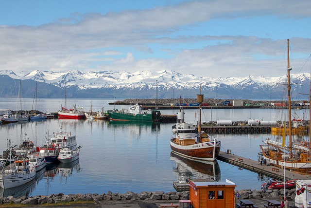 image from Solo Activities Husavik