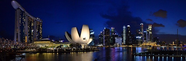 image from Infinite Pool Hotel Marina Bay Sands Singapore