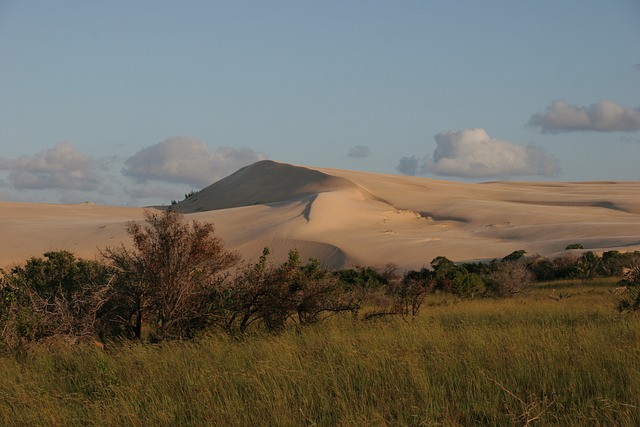 image from Island of Mozambique