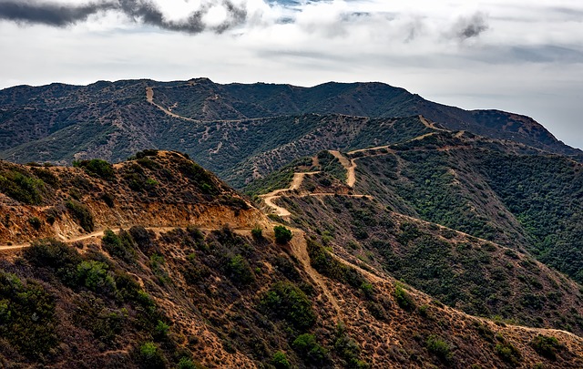 image from Islands and Protected Areas of the Gulf of California