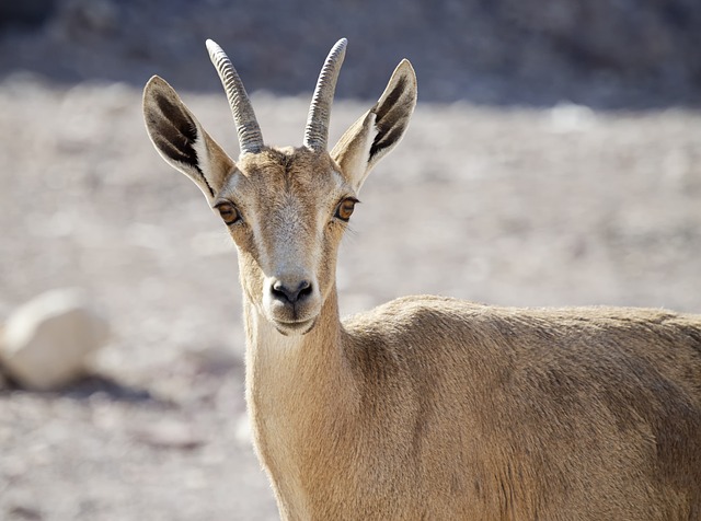 image from Israel 3 Day Itinerary