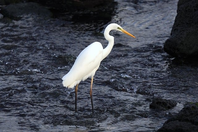 image from Attraction Tours Jeju